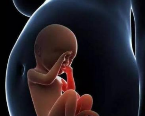 香港怀孕3周验血无y染色体,胚胎移植到子宫里吗？试管胚胎移植在哪儿？